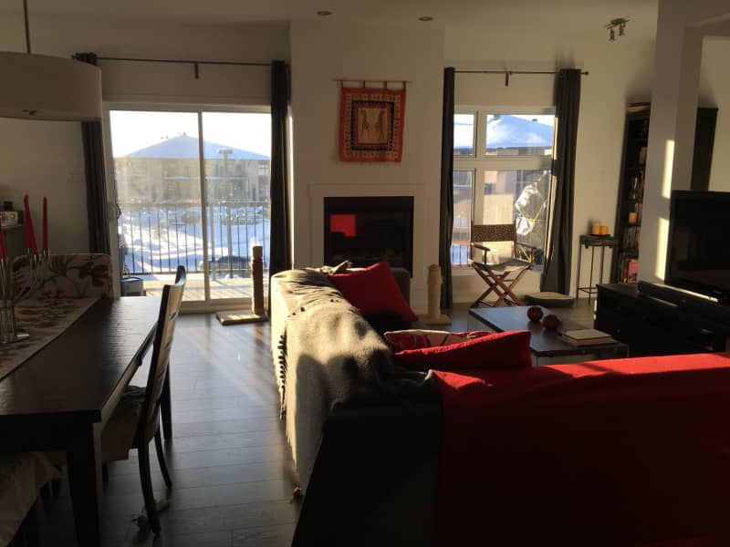 Housesitting assignment in Aylmer, Gatineau, Quebec, Canada