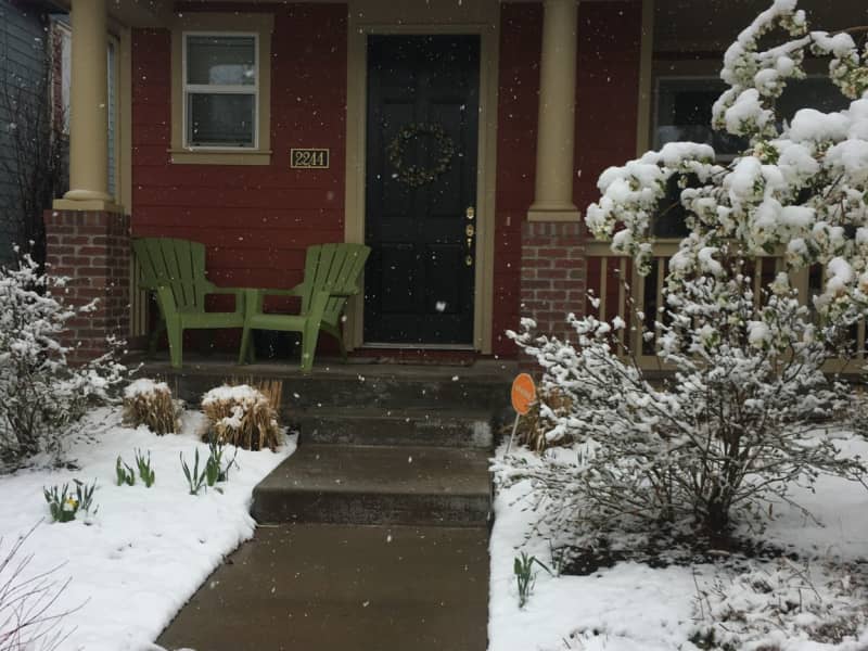 Housesitting assignment in Denver, Colorado, United States