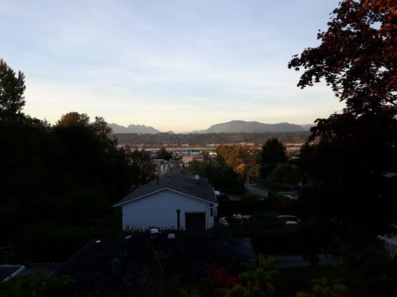 Housesitting assignment in Surrey, British Columbia, Canada