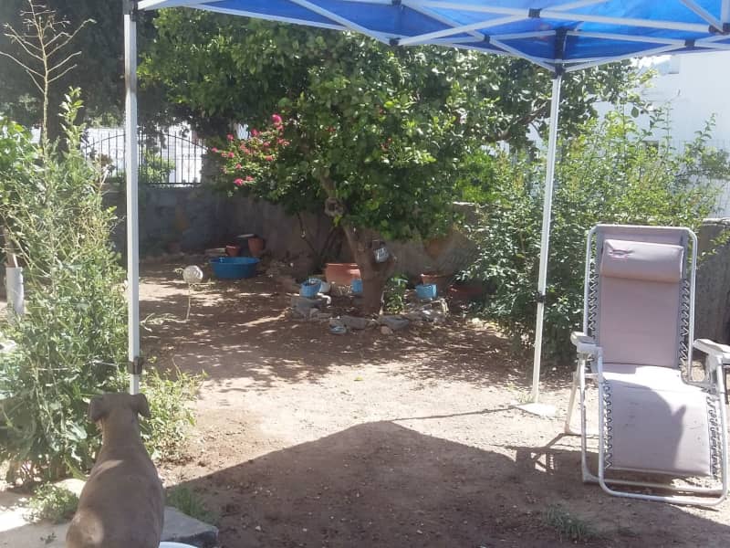 Housesitting assignment in Bodrum, Turkey