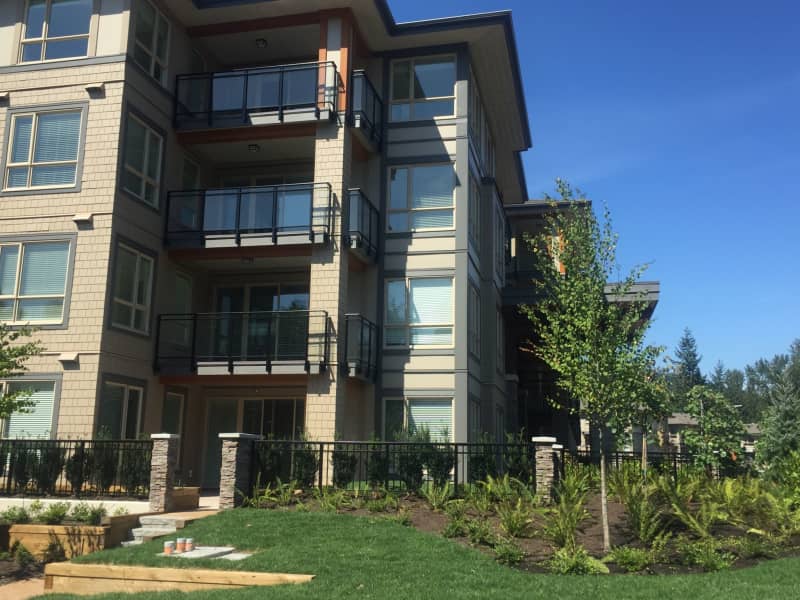Housesitting assignment in Burnaby, British Columbia, Canada