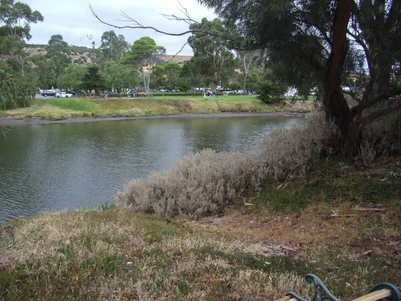 Housesitting assignment in Port Noarlunga, South Australia, Australia