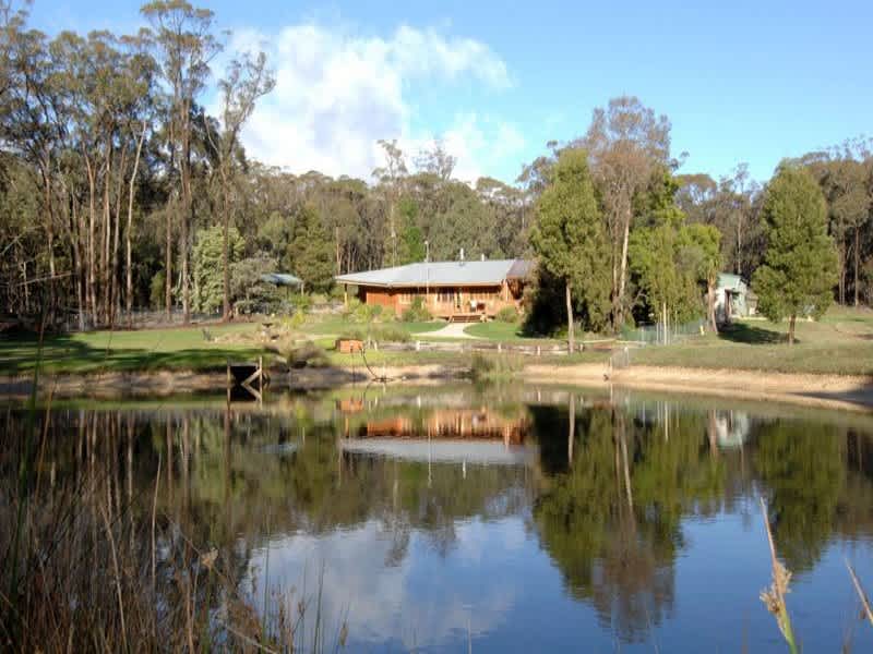 Housesitting assignment in Buninyong, Victoria, Australia