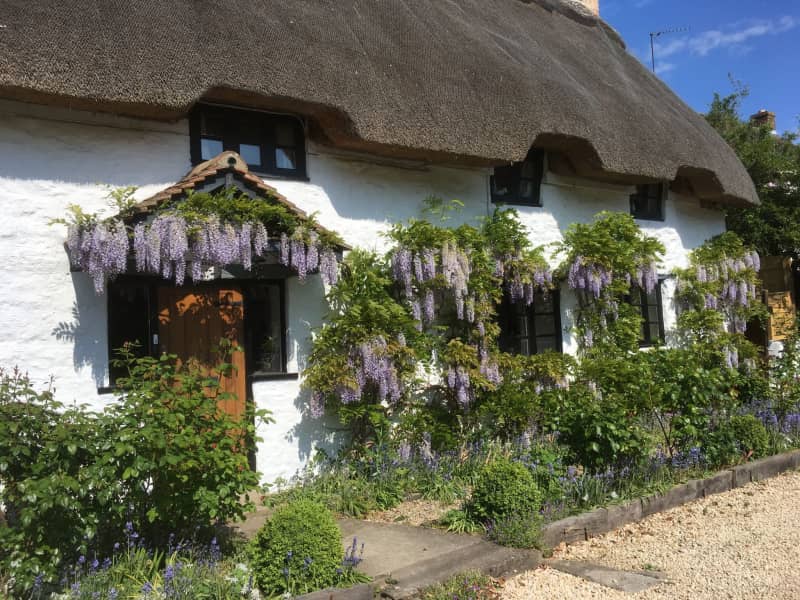Housesitting assignment in Bicester, United Kingdom