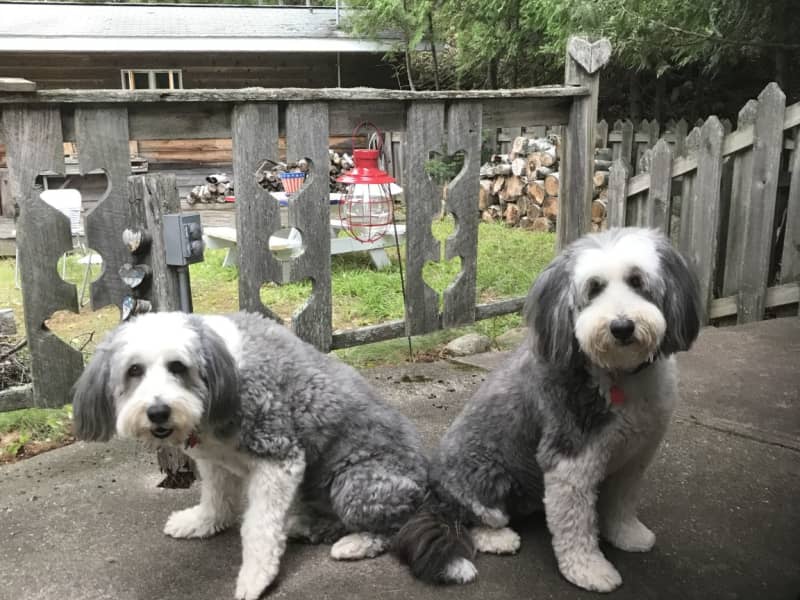 Housesitting assignment in Oshkosh, Wisconsin, United States