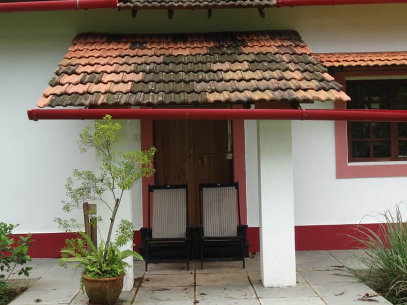 Housesitting assignment in Panaji, India