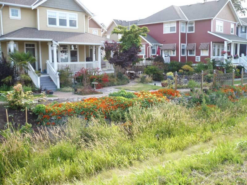 Housesitting assignment in Richmond, British Columbia, Canada