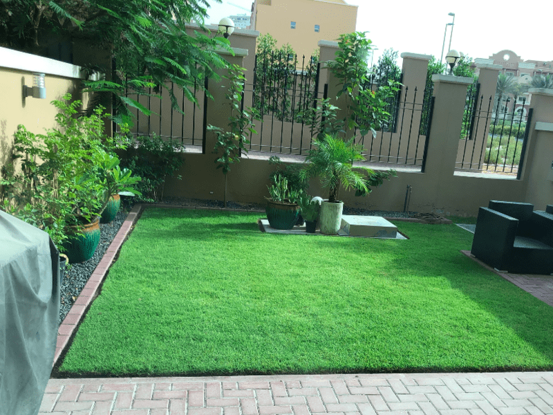 Housesitting assignment in Dubai, United Arab Emirates