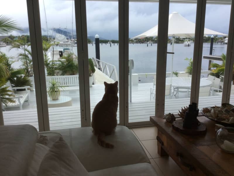 Housesitting assignment in Cardwell, Queensland, Australia