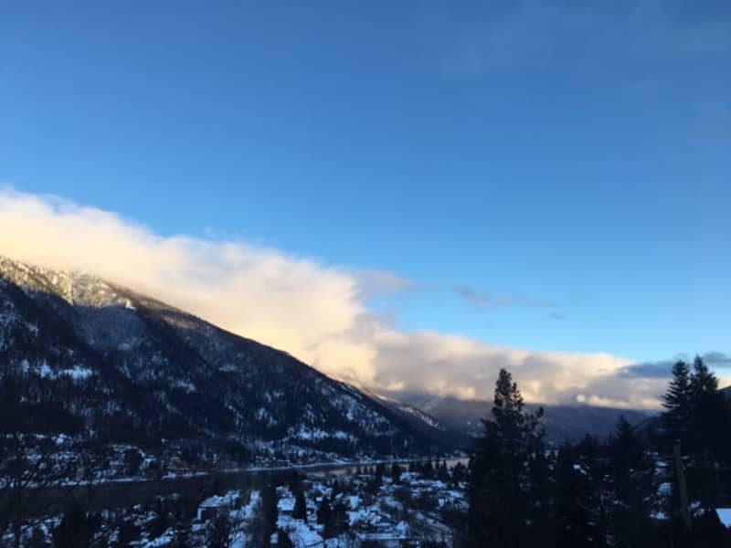 Housesitting assignment in Nelson, British Columbia, Canada