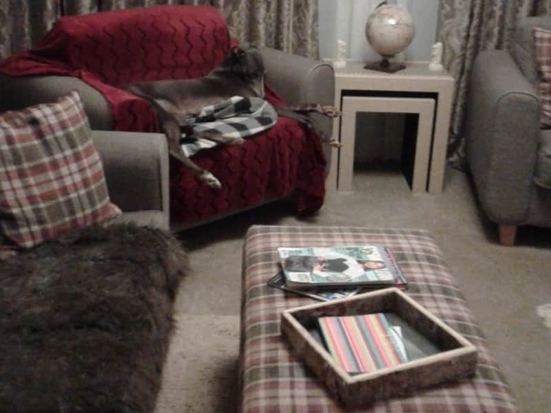 Housesitting assignment in Tallington, United Kingdom