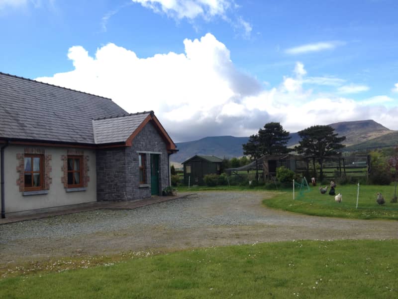 Housesitting assignment in Dungarvan, Ireland