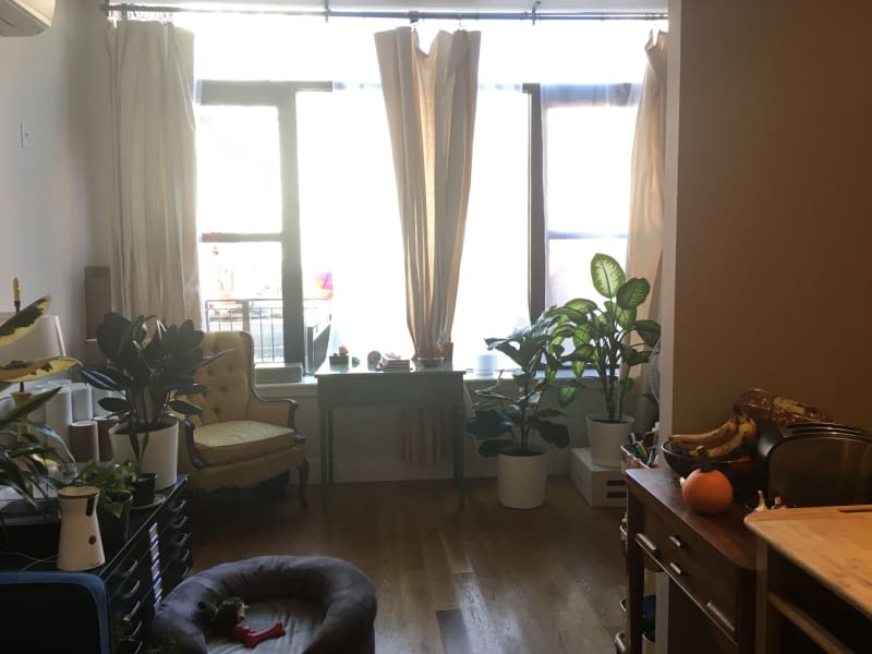 Housesitting assignment in Brooklyn, New York, United States