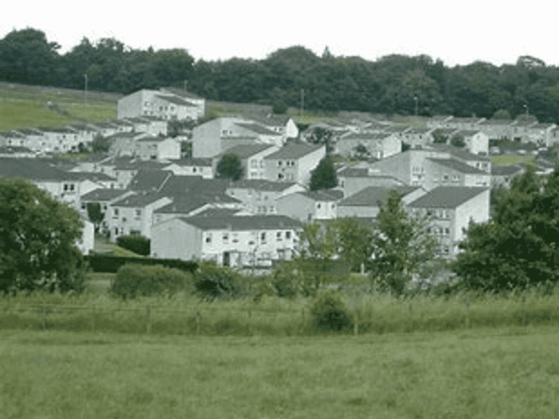 Housesitting assignment in Falkirk, United Kingdom