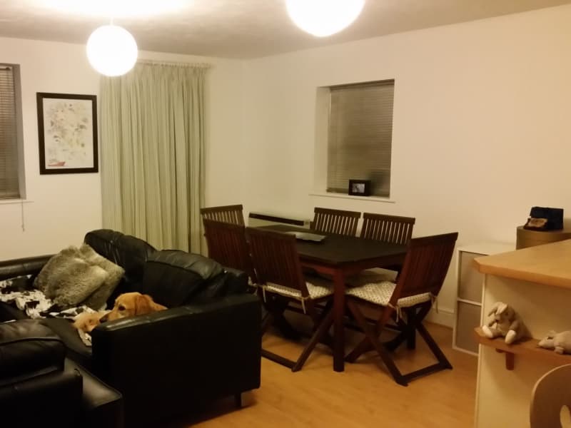 Housesitting assignment in Penge, United Kingdom