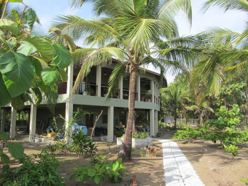 Housesitting assignment in Santiago de Veraguas, Panama