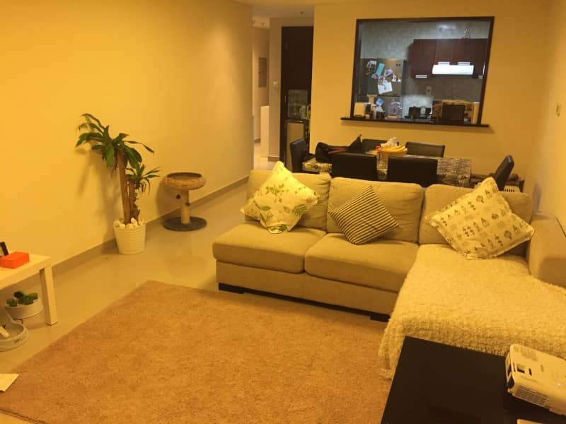 Housesitting assignment in Dubai Sports City, United Arab Emirates