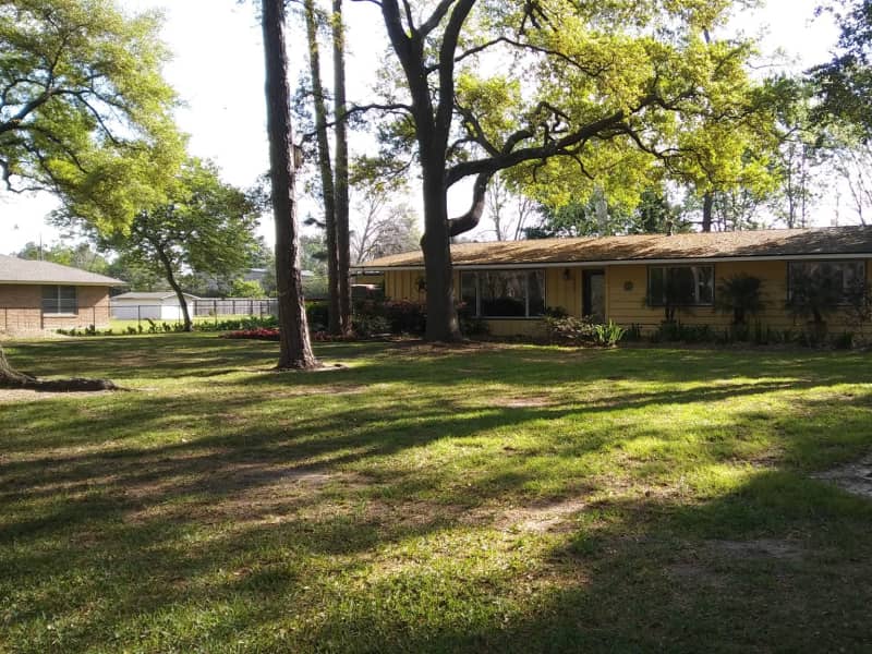 Housesitting assignment in Houston, Texas, United States