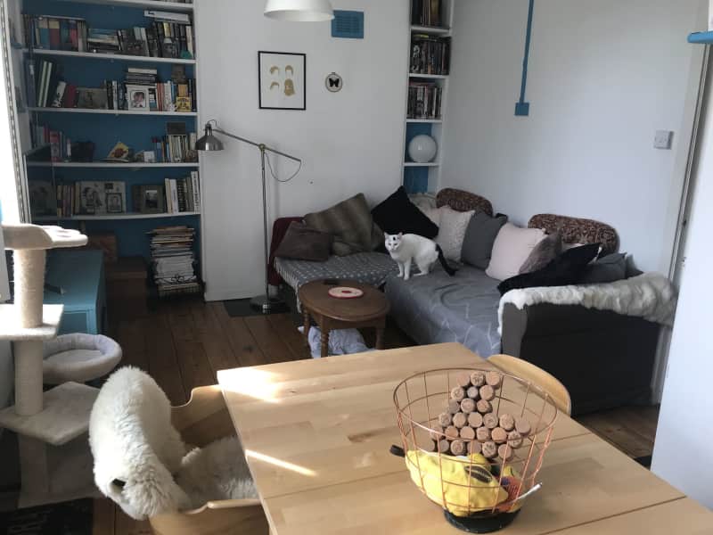Housesitting assignment in Whitechapel, United Kingdom