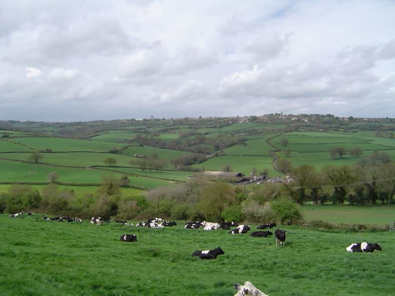 Housesitting assignment in Bath, United Kingdom