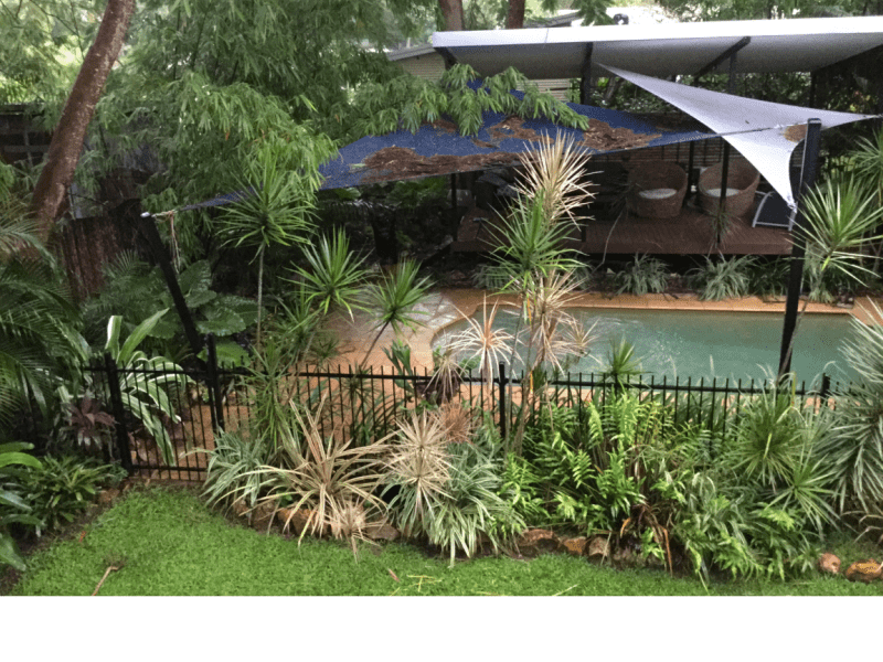 Housesitting assignment in Darwin, Northern Territory, Australia