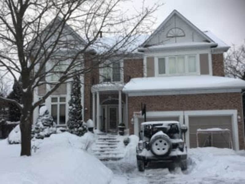 Housesitting assignment in Pickering, Ontario, Canada