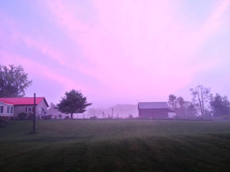 Housesitting assignment in Little Falls, New York, United States
