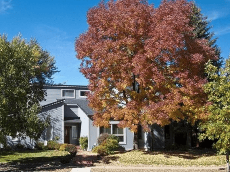 Housesitting assignment in Colorado Springs, Colorado, United States