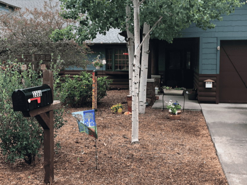 Housesitting assignment in Flagstaff, Arizona, United States