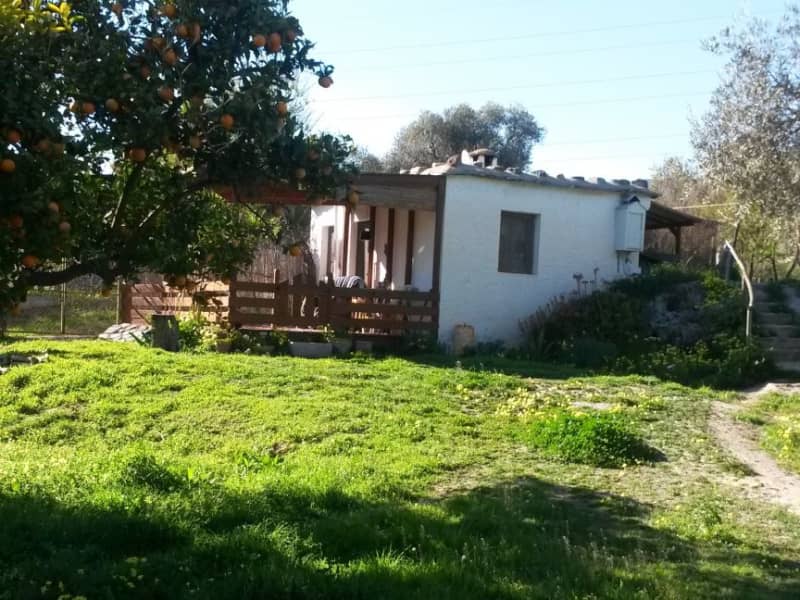 Housesitting assignment in Órjiva, Spain