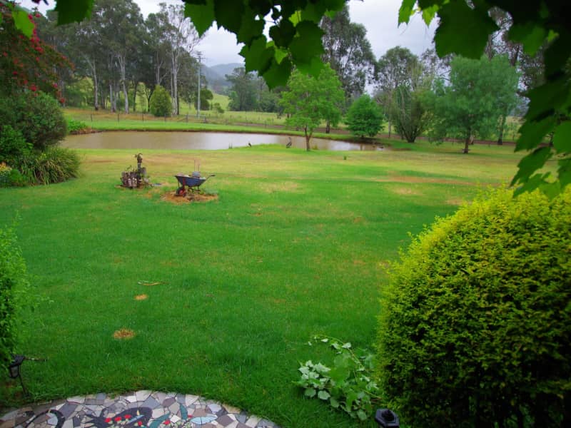 Housesitting assignment in Wingham, New South Wales, Australia