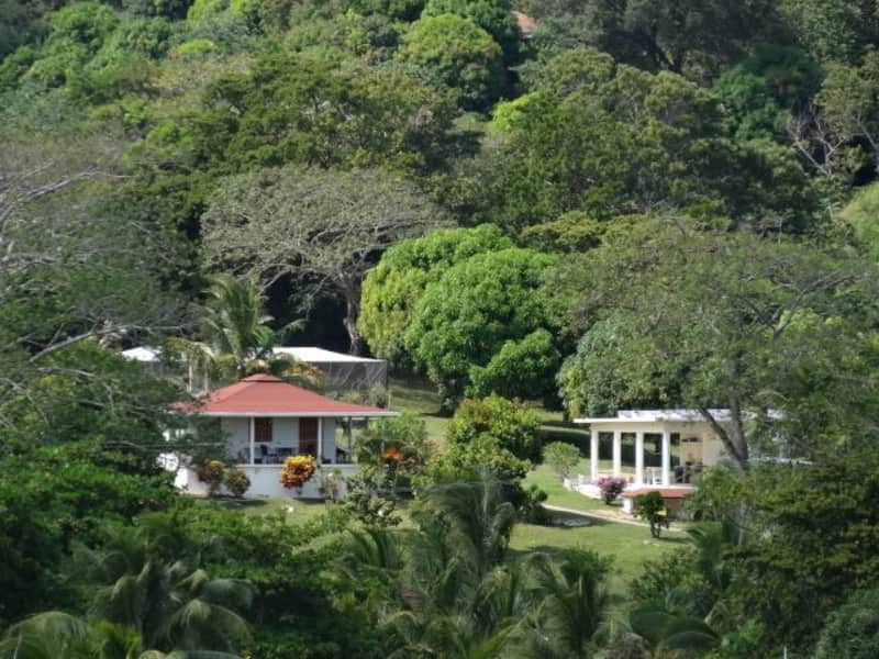Housesitting assignment in Guanaja, Honduras