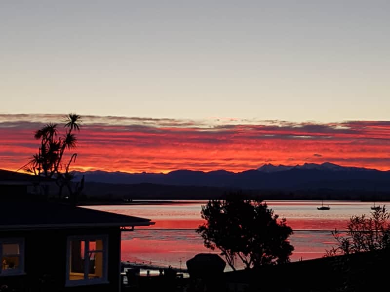 Housesitting assignment in Monaco, New Zealand