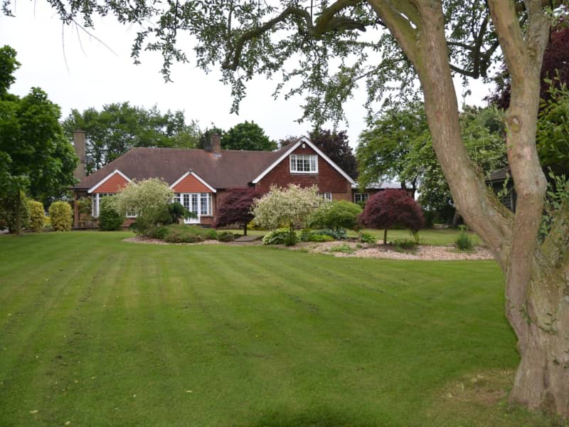 Housesitting assignment in Nottingham, United Kingdom
