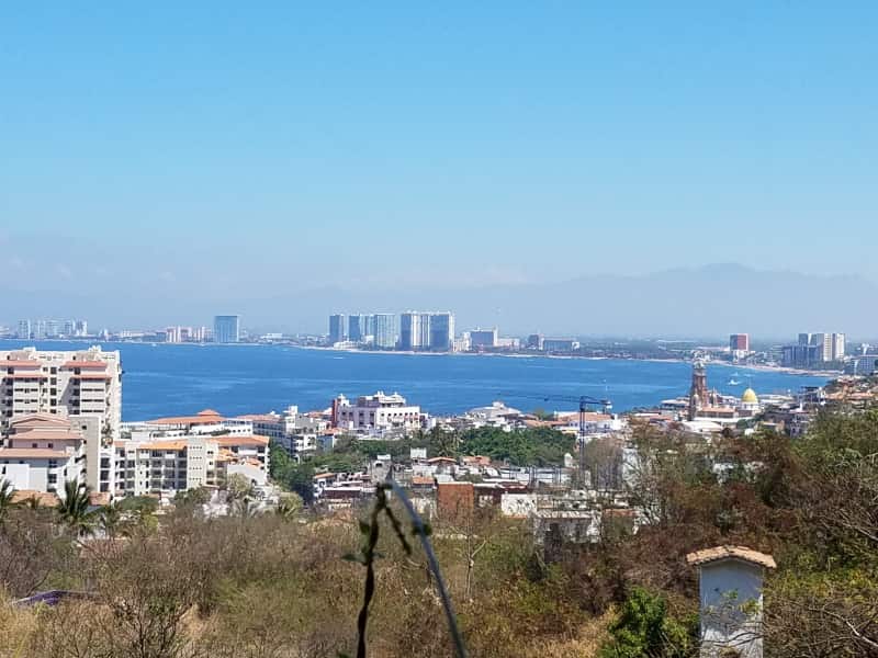 Housesitting assignment in Puerto Vallarta, Mexico