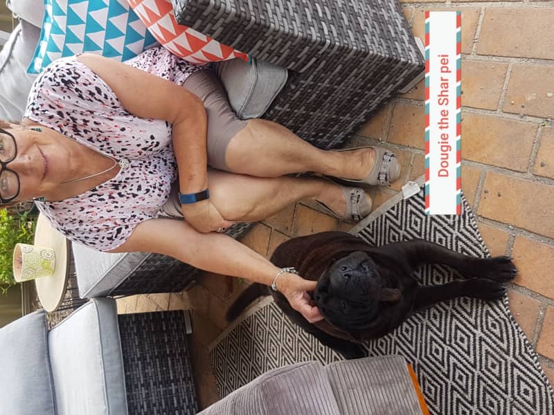 Susan from Bulli, New South Wales, Australia