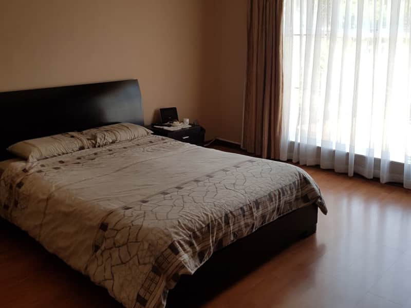 Housesitting assignment in Johannesburg, South Africa