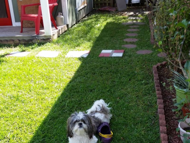 Housesitting assignment in Baton Rouge, Louisiana, United States