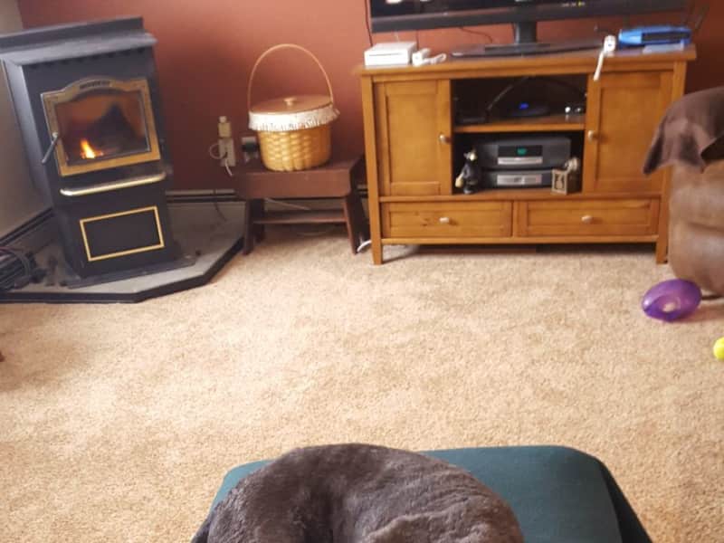 Rosemary & Pat from Nevis, Minnesota, United States