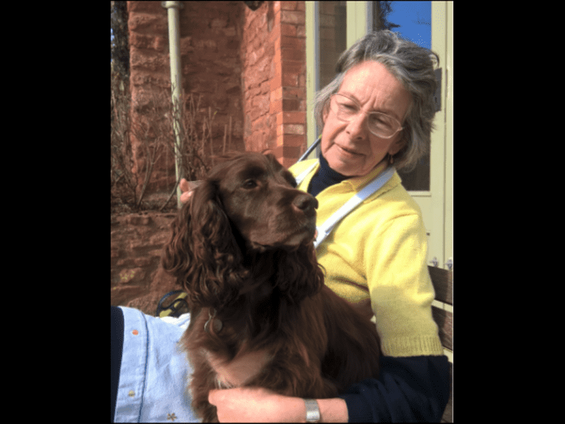 Housesitting assignment in Taunton, United Kingdom