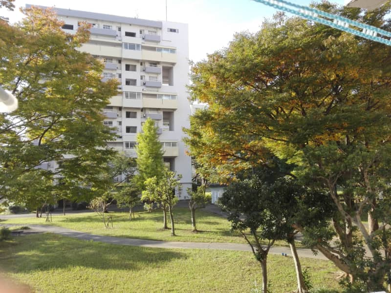 Housesitting assignment in Misato, Japan