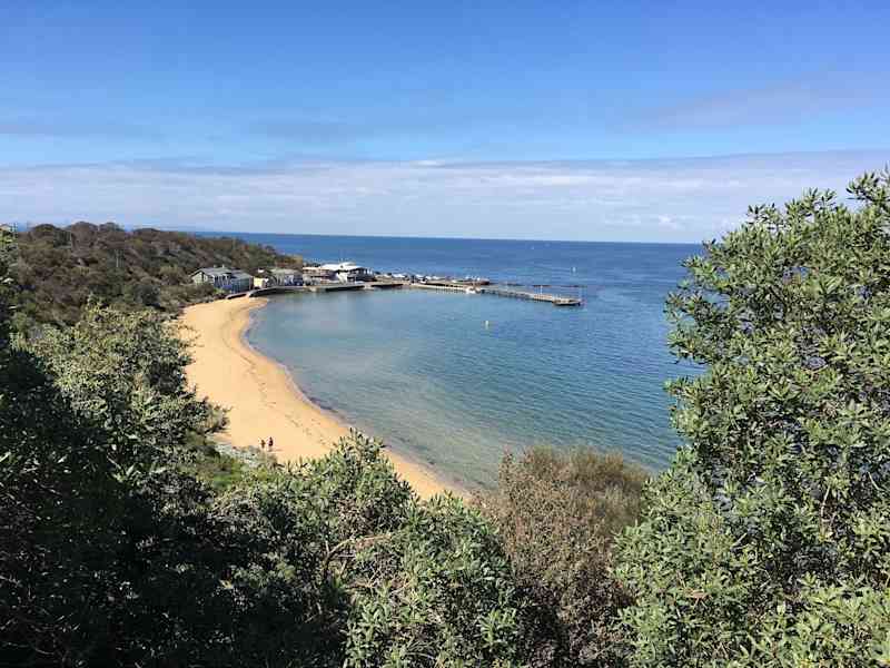 Housesitting assignment in Black Rock, Victoria, Australia