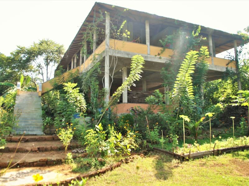 Housesitting assignment in Horawala, Sri Lanka