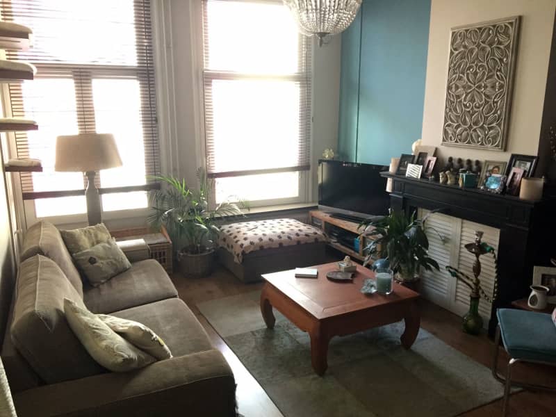 Housesitting assignment in Amsterdam, Netherlands