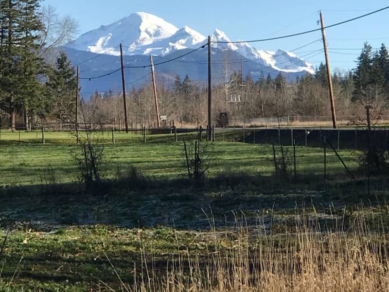 Housesitting assignment in Bellingham, Washington, United States