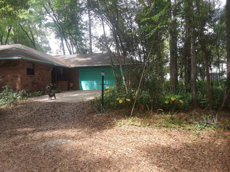 Housesitting assignment in DeLand, Florida, United States