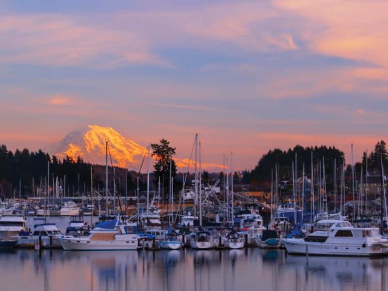 Housesitting assignment in Gig Harbor, Washington, United States