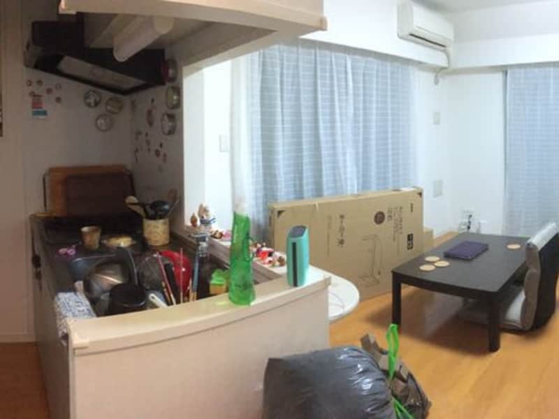 Housesitting assignment in Shimoigusa, Japan