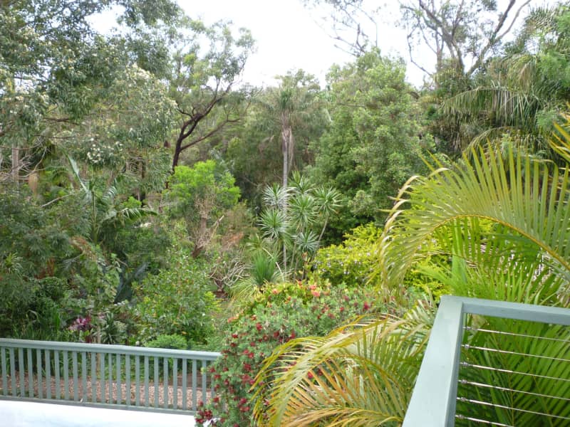 Housesitting assignment in Port Macquarie, New South Wales, Australia