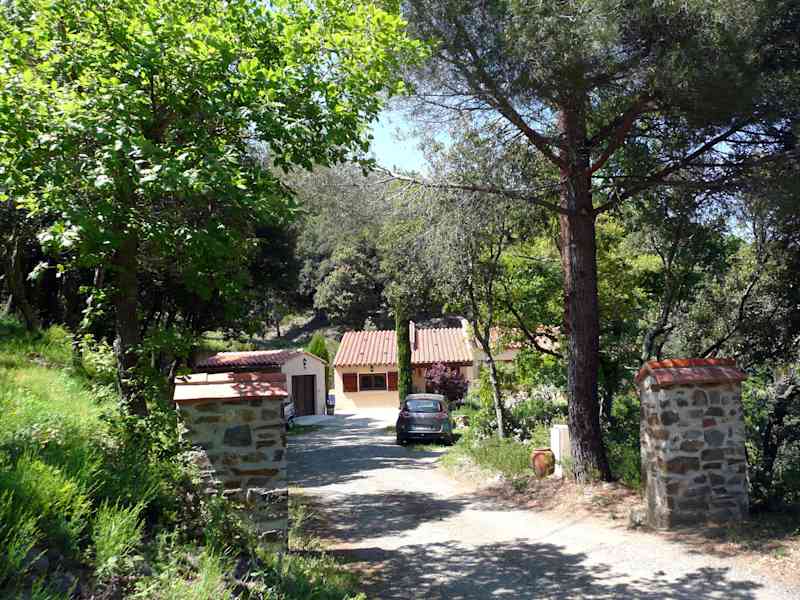 Housesitting assignment in Ceret, France
